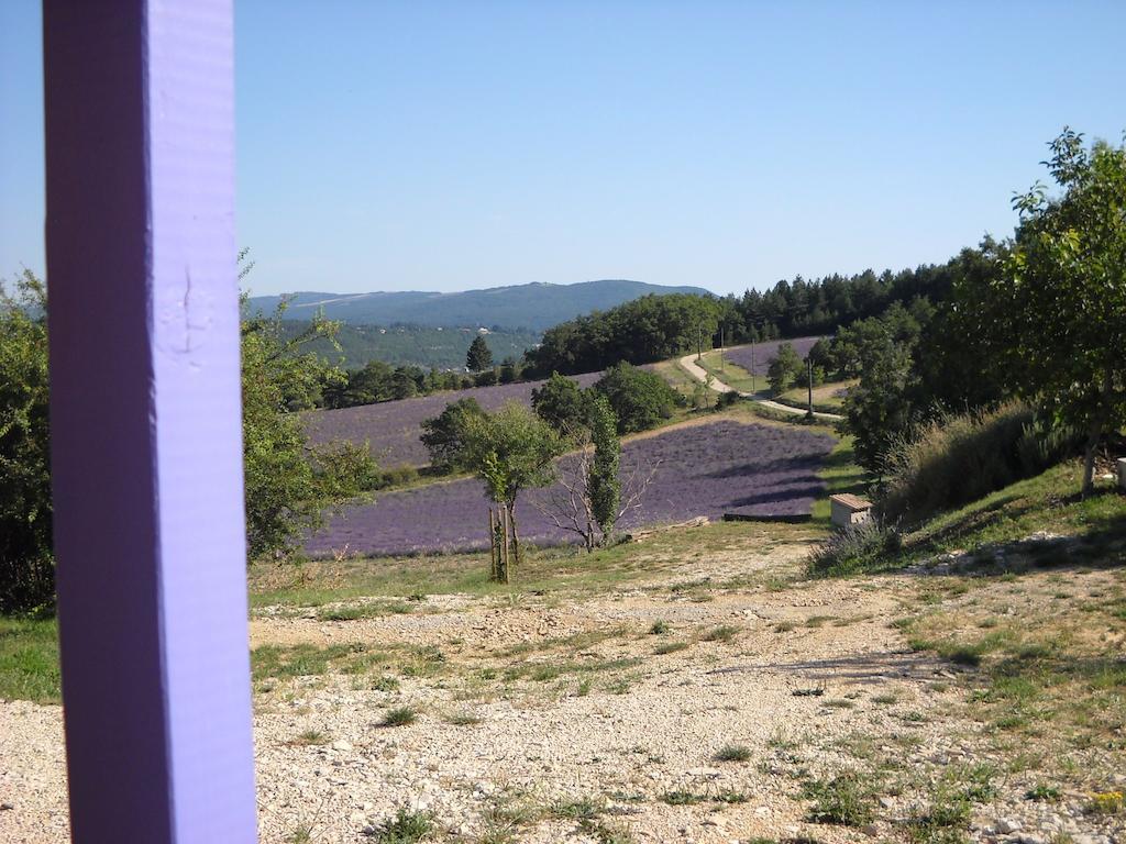 Aurel Inattendu Chambre photo